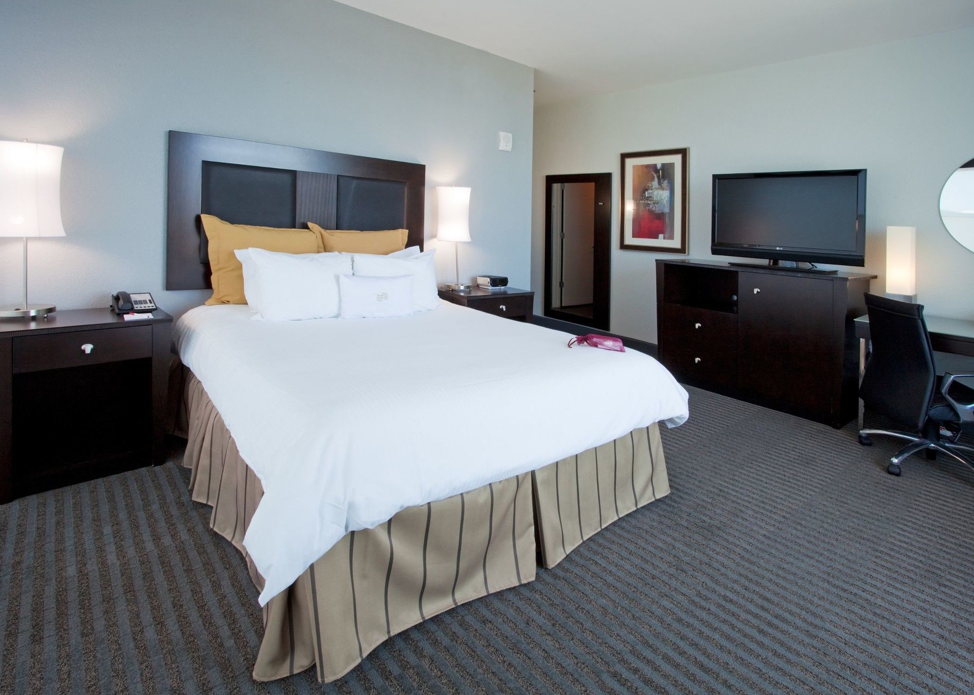 Hotel Alba Tampa, Tapestry Collection By Hilton Стая снимка